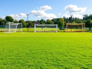 Jak dobrać piłkochwyt do boiska: szkolnego, osiedlowego, miejskiego i profesjonalnego